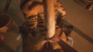 Wild Life - Stormy Night.mp4